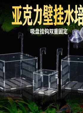 鱼缸水培植物固定架壁挂水培器皿定植篮亚克力花盆定植蓝加深水草