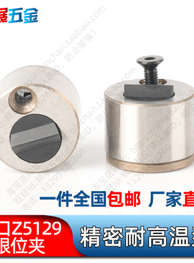 注塑料模具德国STRACK标准行位固定器滑块限位夹Z5129-/13/18/27