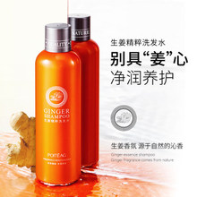 生姜精粹洗发水300ML大容量滋养头皮洁净
