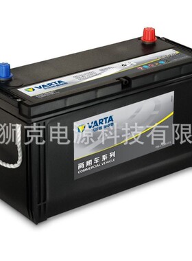 瓦尔塔 VARTA蓄电池E41 100 R T2C适用于轻型卡车 中型货车和客车