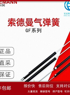 议价Sodemann索德曼气弹簧GF系列