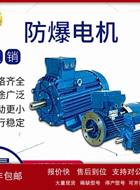 意大利赛普cemp防爆电机 电动机 马达 三相交流电动机 隔爆型电机