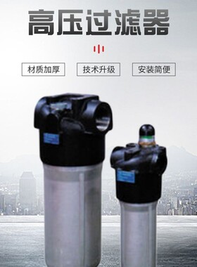 意大利MP filtri过滤器SF2504WF1S250翡翠原装滤芯