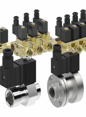 AVS-ROMER EGV-111-A78- 1 CG 电磁阀 供应 德国 原装进口