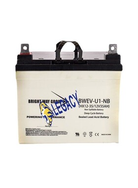美国BRIGHT WAY GROUP蓄电池BWEV12-155A 12V155AH通信电源电池