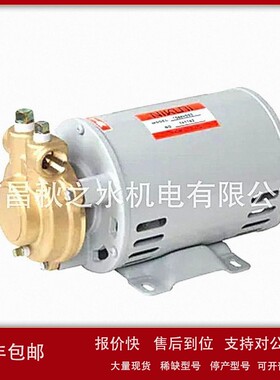 日本尼可尼NIKUNI泵渦流タービンポンプ20DKL05S-V 议价