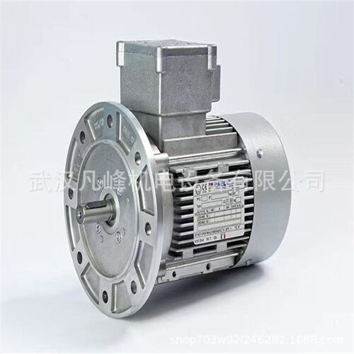 优势供应意大利原装进口 RAEL 防爆 电机 3RL0041等全系列