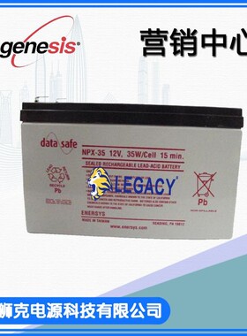 美国DATASAFE蓄电池NPX-35T NPX-35 12V9AH风浆发电 UPS电源电池