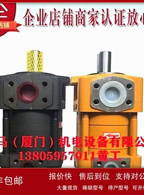 议价CHENGJIE诚捷齿轮泵NT2-D10F NT2-D12F NT2-D16F NT3-D20F