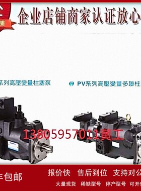 议价台湾康百世KOMPASS柱塞泵PV125A2RM1A PV125A2LM1A