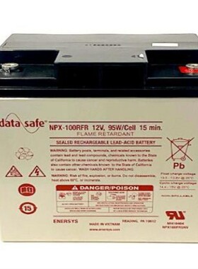 英国艾诺斯 Datasafe蓄电池 NPX-100RFR 12V28AH精密仪器电池