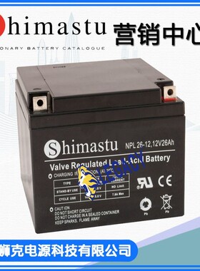 美国SHIMASTU蓄电池 NP200-12 12V 200AH工业电源 免维护电池