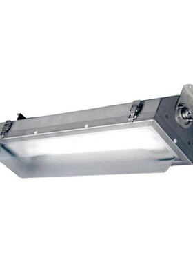 EATON Pauluhn AllPro危险区域线性荧光灯具