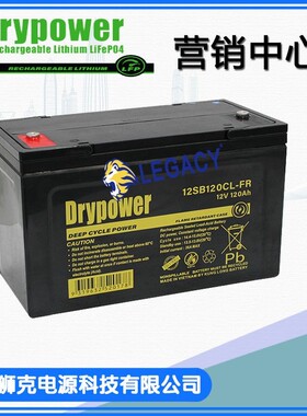 美国DRYPOWER蓄电池12SB110CLS-FR 12V110AH免维护铅酸阀控蓄电池
