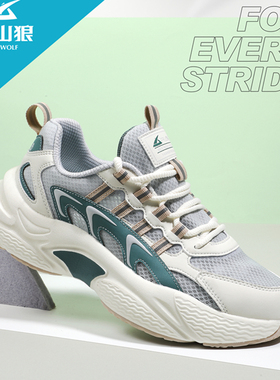 飙山狼2024夏季新款男子轻便舒适透气薄网潮流休闲运动鞋AX22960