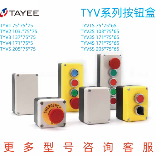上海天逸TYV1/2/3/4/5按钮盒