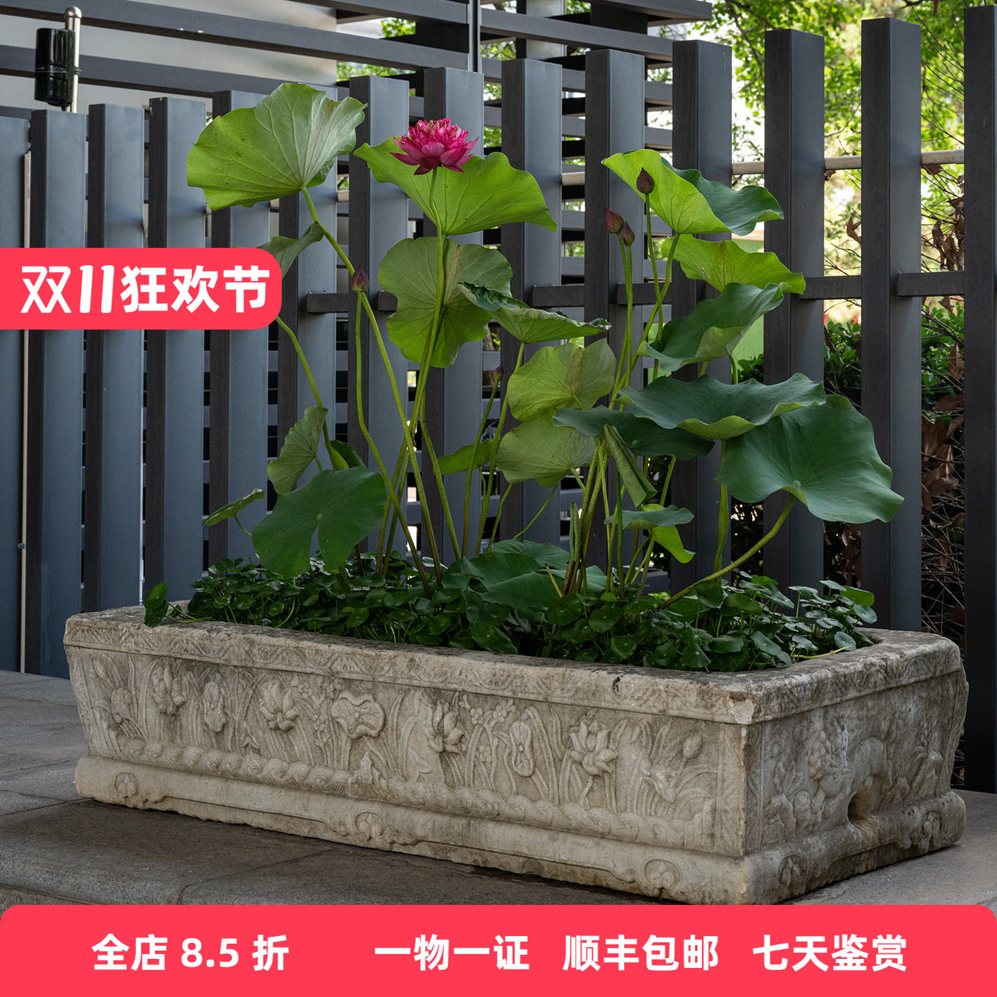 明代 汉白玉麒麟纹长方赏盆老物件文玩古董摆件收藏汉白玉雕花盆