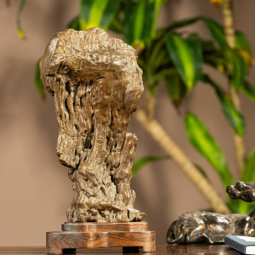 清代木化石红木座文房供石摆件