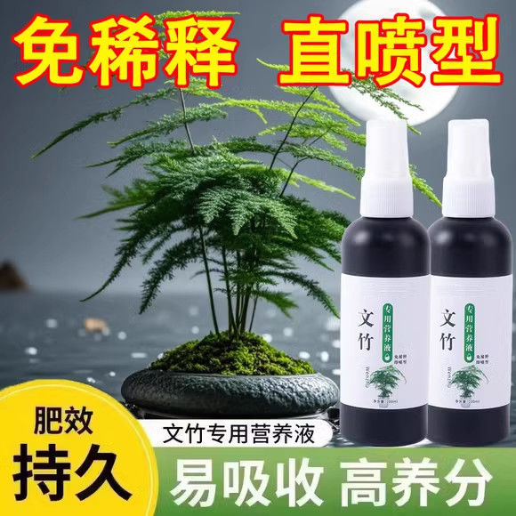 文竹营养液专用肥料盆栽绿植物叶子发黄枯瘦干尖烂根落叶绿叶壮根