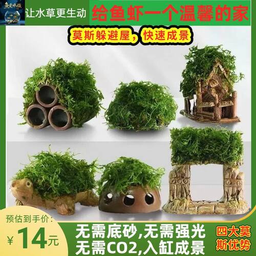 水草造景莫斯躲避屋鱼缸