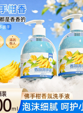 洗手液清新佛手柑香型大容量按压泵头瓶装家用宿舍通用实惠装400M