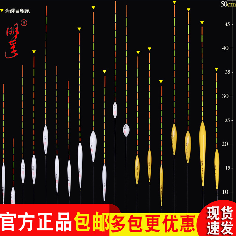 纳米管装中国浮漂明孚加粗尾醒目枣核鲫鱼浮标钓鱼用品渔具包邮