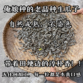 贵州农家自种生瓜子生瓜子新货原味现炒熟葵花大颗粒散装 零食