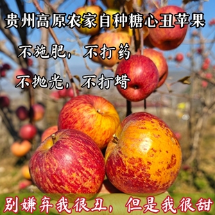 （俺爷爷种的老树丑苹果）新鲜水果贵州正宗冰糖心丑苹果野苹果
