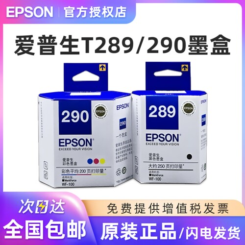 原装爱普生T289/T290打印机墨盒