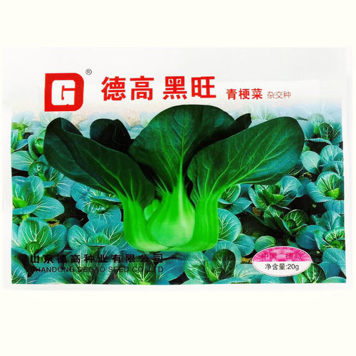 德高黑旺/黑矮青青梗菜种子大头束腰墨绿苏州青种子耐寒青菜种子