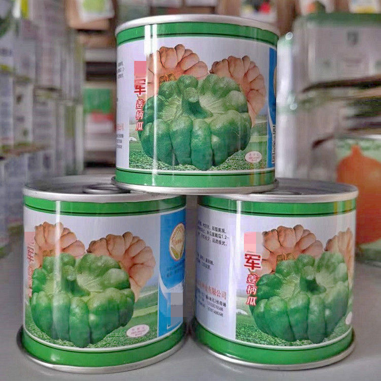 云南姜柄瓜种子早熟短蔓嫩瓜种籽庭院爬藤小南瓜种菜瓜蔬菜种子孑