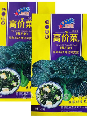 春不老高价菜种子乌塌菜黑心乌泡泡青黑油菜籽耐寒越冬蔬菜种籽