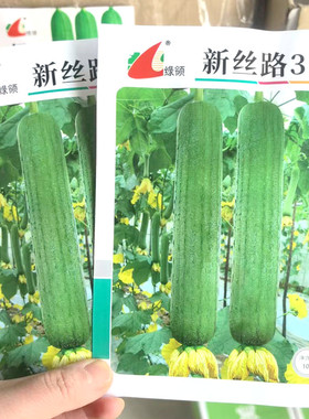 新丝路30丝瓜种子早熟长圆筒形丝瓜种子被白霜丝瓜种子连续坐果好