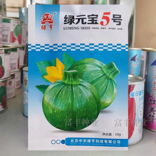 宝5号西葫芦种子特早熟短蔓圆球西葫芦种籽春秋季 绿元 菜南瓜种子