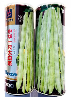 中华一尺大白条架豆种子白花白绿荚架豆种籽春秋季长芸豆菜豆种子