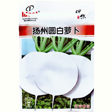 扬州圆白萝卜种子白皮白肉萝卜种子味甜微辣圆白萝卜种子15克