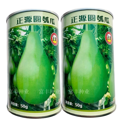 正源圆瓠瓜种子杂交一代油青翠绿圆瓠瓜种子蒲瓜菜葫芦小瓠子种孑