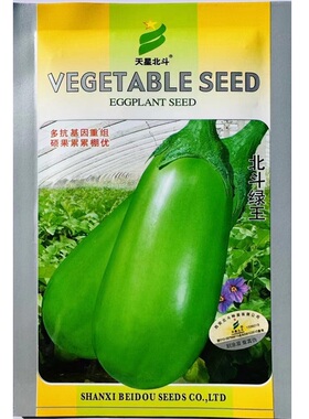 北斗绿王 绿冠2303茄子种子高产绿罐茄种子抗病圆茄糙青茄种子