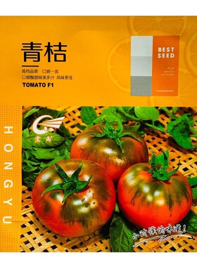 水果番茄种子铁皮柿子中早熟高档绿肩草莓番茄种子口感酸甜可口