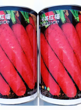 卡其红福三红胡萝卜种子桔红芯胡萝卜种籽秋季农家水果胡萝卜种孑