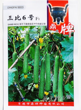 鼎牌 优比1号 三比6号丝瓜种子早熟高产绿皮微皱丝瓜蔬菜种籽基地
