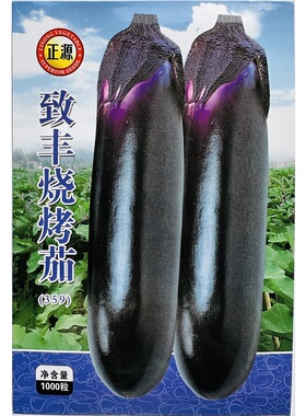 和利农致丰烧烤茄种子中晚熟烧烤茄子种籽深紫长条形烧烤茄种子