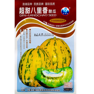 八里香甜瓜种子高糖豹点黄花皮绿肉甜瓜种子杂交八里香香瓜种子