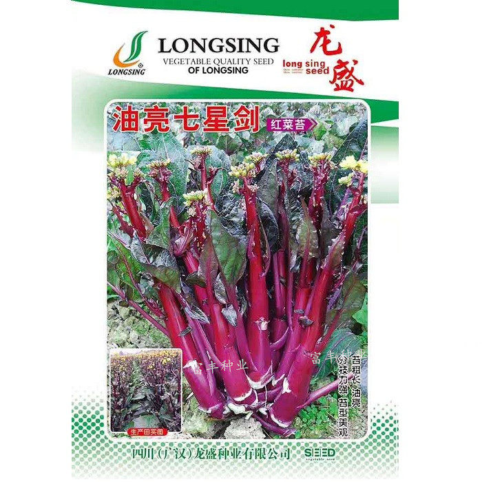 红菜苔种子红菜心紫菜薹红油菜芯籽芥兰四季易种高产蔬菜种子孑