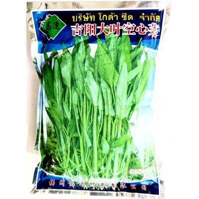 高达吉阳大叶空心菜空心菜种子耐热耐湿蕹菜空心菜种籽水培旱地种
