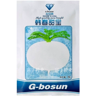 韩春甜宝萝卜种子甜脆圆白萝卜种子白皮白肉圆萝卜种子