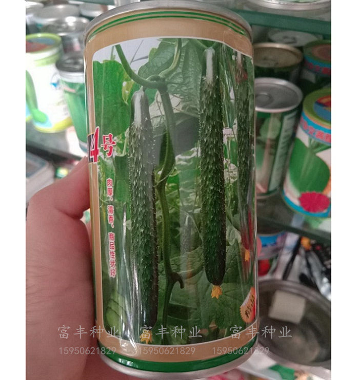 津优1号津春4号黄瓜种籽高产短把密刺黄瓜种子夏秋季耐热蔬菜种籽