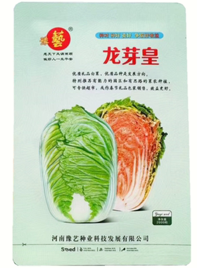 豫艺龙芽皇白菜种子 优质礼品白菜 內叶桔红色白菜种子 2000粒