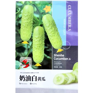 奶油白黄瓜种子强雌水果黄瓜种子甜脆早熟绿白皮短棒水果黄瓜种子