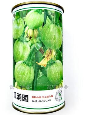 花皮一串铃小南瓜种子嫩食型花皮小南瓜种子早熟春播蔬菜种籽孑